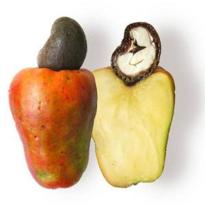 Cashew apple